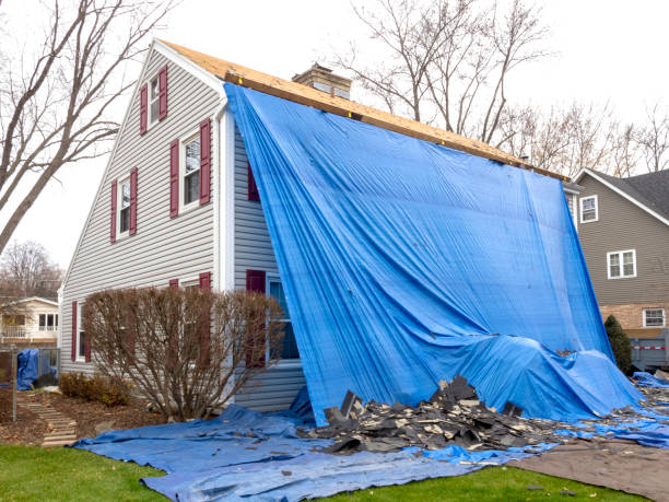 Best Shed Removal  in Dadeville, AL